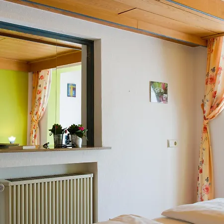 Landpension Am Sommerhang Bad Rippoldsau-Schapbach Esterno foto