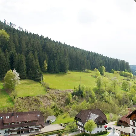 Landpension Am Sommerhang Bad Rippoldsau-Schapbach Exterior photo