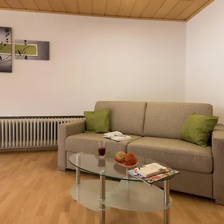 Landpension Am Sommerhang Bad Rippoldsau-Schapbach Esterno foto