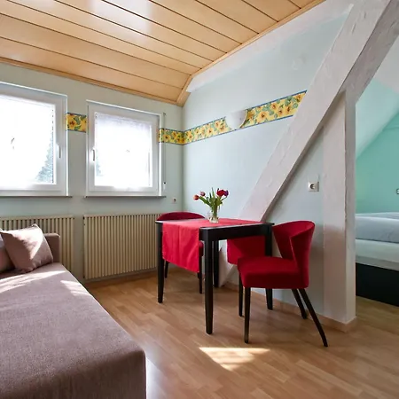 Landpension Am Sommerhang Bad Rippoldsau-Schapbach Exterior photo