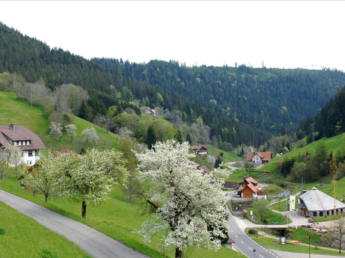 Landpension Am Sommerhang Appartement *