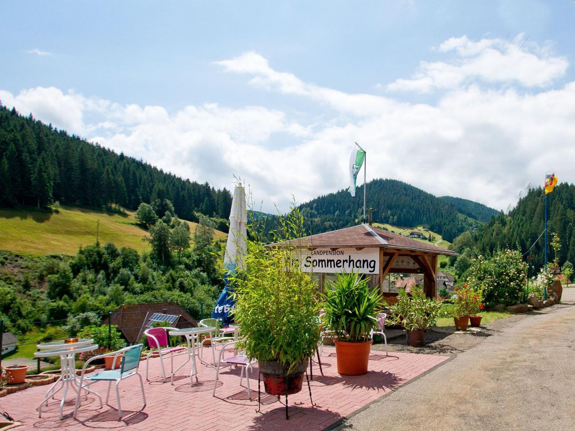 Appartement Landpension Am Sommerhang Bad Rippoldsau-Schapbach